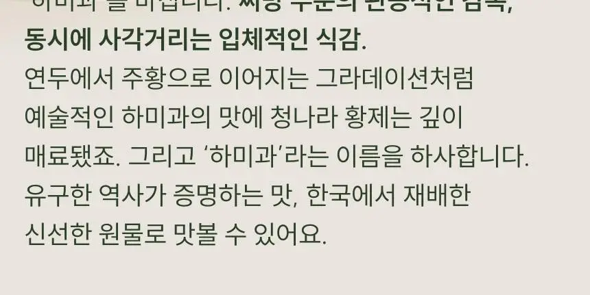 [온브릭스] 청나라 황제도 반한, 하미과 멜론 1입 / 2입 (14brix) 상세페이지 4